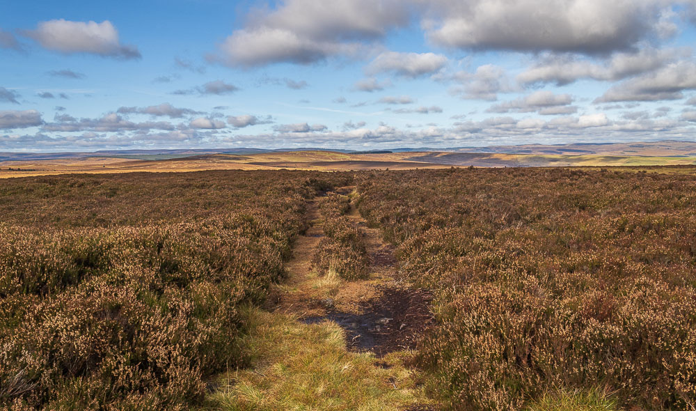 Padon Hill